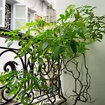 Saigon Home Party